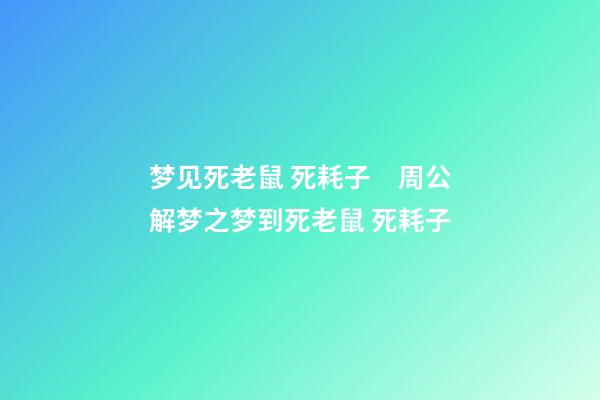 梦见死老鼠 死耗子　周公解梦之梦到死老鼠 死耗子